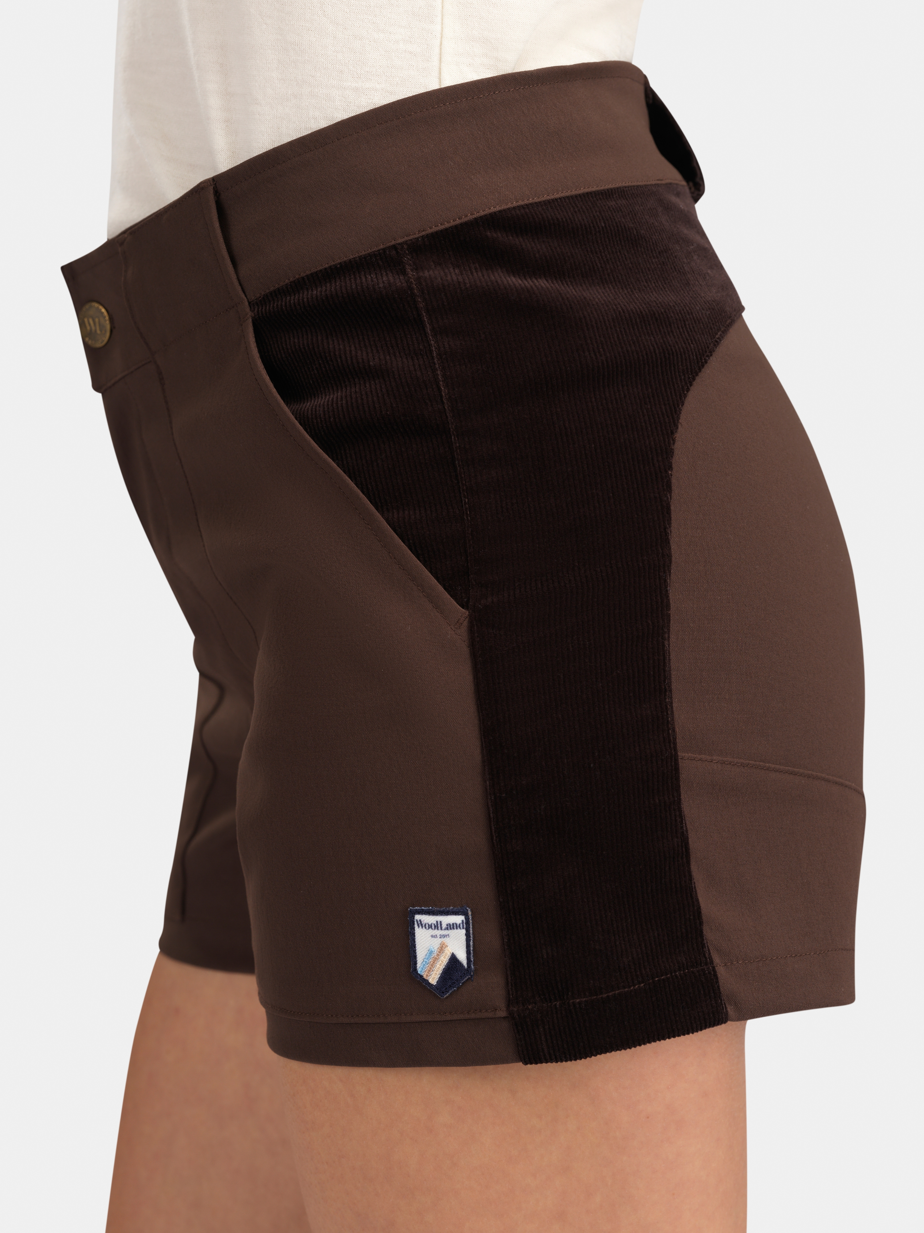 Romsdalseggen 3" Cord Shorts  Hot Fudge